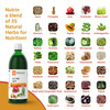 Krishna'S Nutrin Juice - 1l