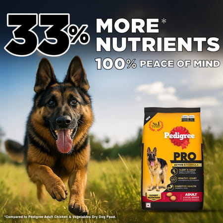 Pedigree Pro Adult Large Breed | 20 Kg Dry Dog Food | Vet Trusted Brand (18 Months Onwards)