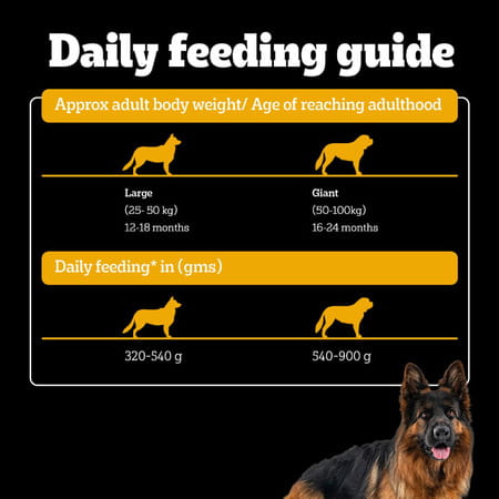 Pedigree Pro Adult Large Breed | 20 Kg Dry Dog Food | Vet Trusted Brand (18 Months Onwards)