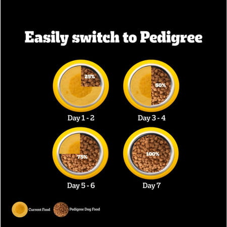 Pedigree Pro Adult Large Breed | 20 Kg Dry Dog Food | Vet Trusted Brand (18 Months Onwards)