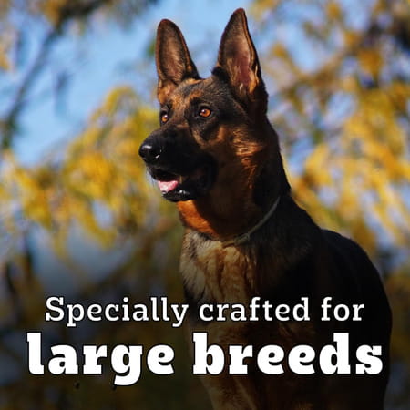 Pedigree Pro Adult Large Breed | 20 Kg Dry Dog Food | Vet Trusted Brand (18 Months Onwards)