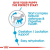 Royal Canin Baby Pellet Dog Food Mini Starter | Meat | 1 Kg