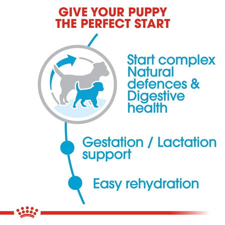 Royal Canin Baby Pellet Dog Food Mini Starter | Meat | 1 Kg