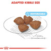 Royal Canin Baby Pellet Dog Food Mini Starter | Meat | 1 Kg