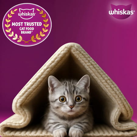 Whiskas Junior Ocean Fish 1.1 Kg