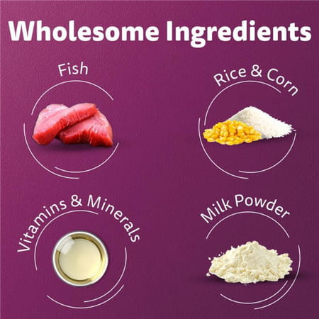 Whiskas Junior Ocean Fish 1.1 Kg