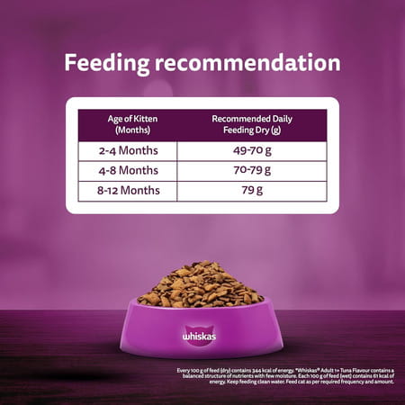 Whiskas Junior Ocean Fish 1.1 Kg