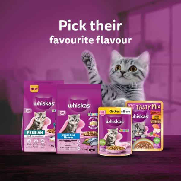 Whiskas Junior Ocean Fish 1.1 Kg