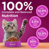 Whiskas Junior Ocean Fish 1.1 Kg