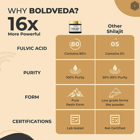 Boldfit Boldveda Pure Himalayan Shilajit Resin Form - 15 G