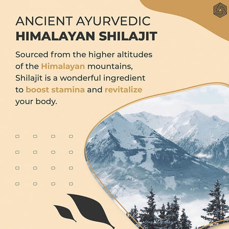 Boldfit Boldveda Pure Himalayan Shilajit Resin Form - 15 G