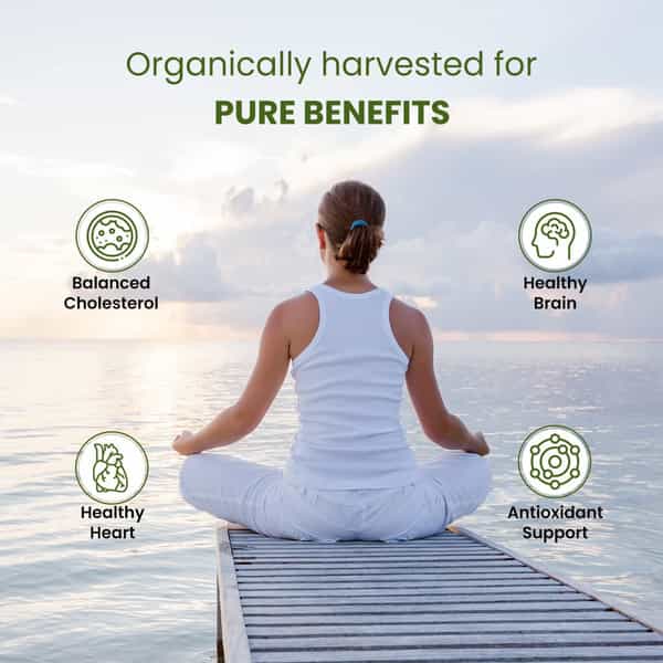 Himalayan Organics Organic Cinnamon | Powder | Packet | 350 Gm