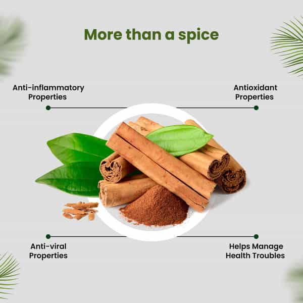 Himalayan Organics Organic Cinnamon | Powder | Packet | 350 Gm