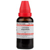 Dr. Willmar Schwabe India Lavandula Angustifolia Mother Tincture Q 30 Ml