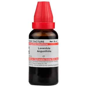 Dr. Willmar Schwabe India Lavandula Angustifolia Mother Tincture Q 30 Ml