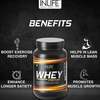 Inlife Whey Protein Powder With Isolate Concentrate Hydrolysate & Digestive Enzymes- 1Kg (Vanilla)
