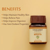 Upakarma Ayurveda Pure Herbs Turmeric | Curcumin | Haldi 500Mg 90 Veggie Capsules