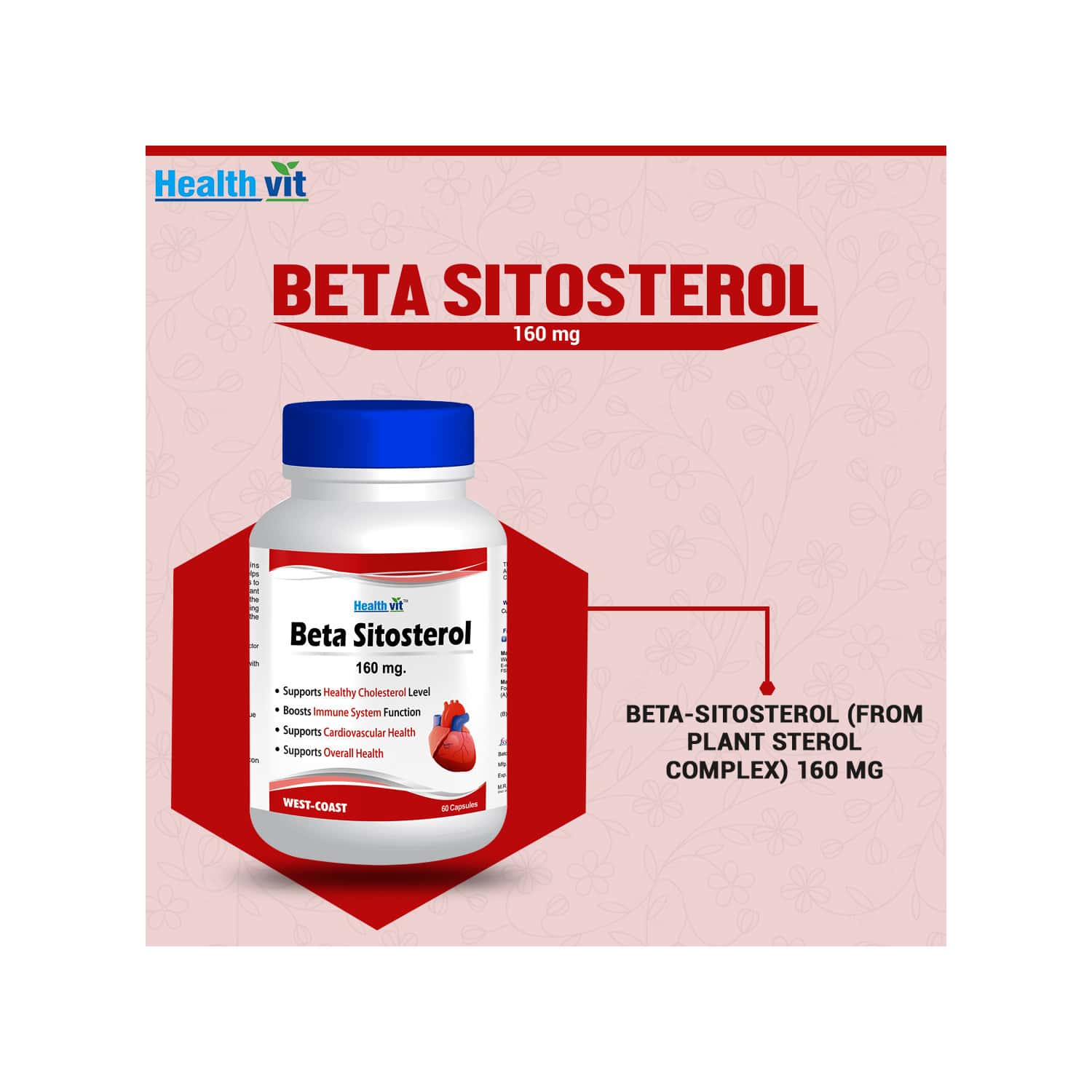 Bêta-Sitostérol Vita World – 60 Capsules Vegan à Base De Pin – Complément Alimentaire Allemand