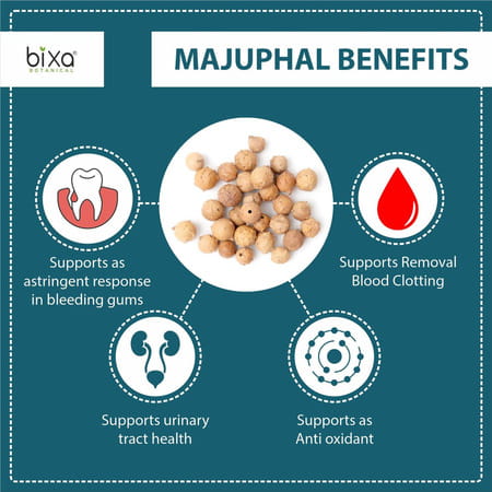 Bixa Botanical Majuphal Powder(Quercus Infectoria)- Supports Blood Clotting & Act As Anti-Oxidants