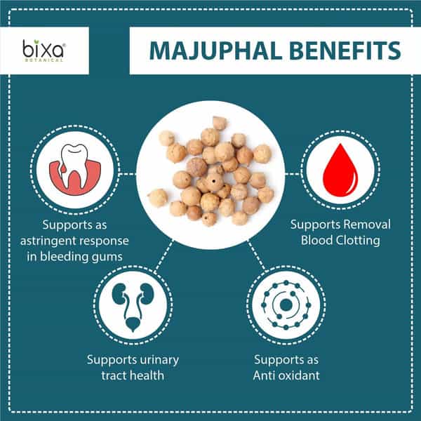 Bixa Botanical Majuphal Powder(Quercus Infectoria)- Supports Blood Clotting & Act As Anti-Oxidants
