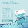 Wellbeing Nutrition Pure Korean Marine Collagen Supplements Hydrolyzed Peptides Unflavored 6Sachets