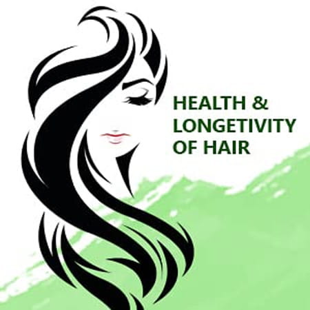 Sunny Herbals Arnica Montana Hair Oil 200 Ml