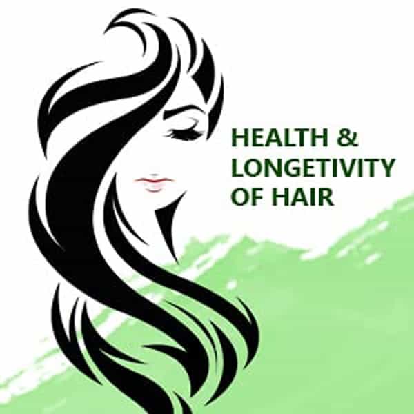 Sunny Herbals Arnica Montana Hair Oil 200 Ml