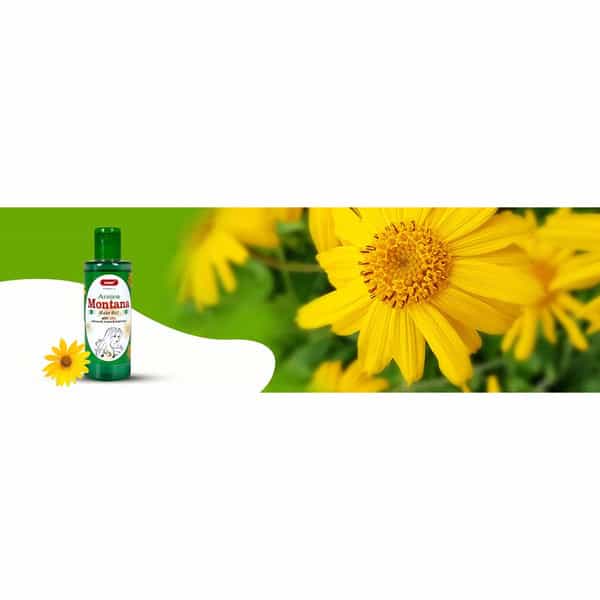 Sunny Herbals Arnica Montana Hair Oil 200 Ml
