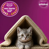 Whiskas Junior Mother Cat & Kitten (2-12 Months) Dry Cat Food | Ocean Fish Flavour | 6.5 Kg