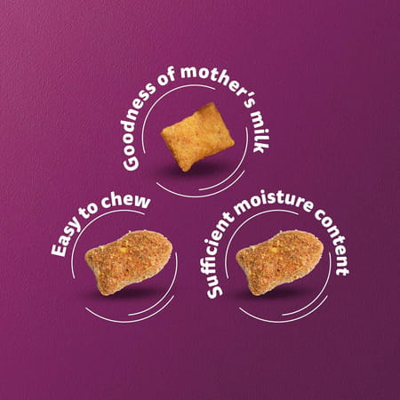 Whiskas Junior Mother Cat & Kitten (2-12 Months) Dry Cat Food | Ocean Fish Flavour | 6.5 Kg