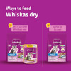 Whiskas Junior Mother Cat & Kitten (2-12 Months) Dry Cat Food | Ocean Fish Flavour | 6.5 Kg
