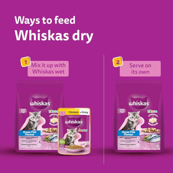 Whiskas Junior Mother Cat & Kitten (2-12 Months) Dry Cat Food | Ocean Fish Flavour | 6.5 Kg
