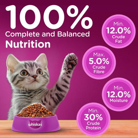 Whiskas Junior Mother Cat & Kitten (2-12 Months) Dry Cat Food | Ocean Fish Flavour | 6.5 Kg