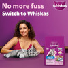 Whiskas Junior Mother Cat & Kitten (2-12 Months) Dry Cat Food | Ocean Fish Flavour | 6.5 Kg