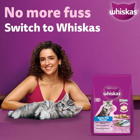 Whiskas Junior Mother Cat & Kitten (2-12 Months) Dry Cat Food | Ocean Fish Flavour | 6.5 Kg