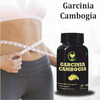 Fij Ayurveda Garcinia Cambogia Supplement With Green Tea Extract- 500Mg 60 Capsules (Pack Of 2)