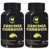 Fij Ayurveda Garcinia Cambogia Supplement With Green Tea Extract- 500Mg 60 Capsules (Pack Of 2)