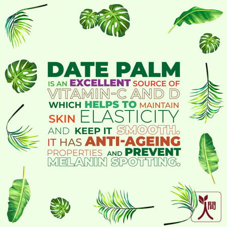 Ningen Skin Nourising Day Cream Infused With Date Palm Coffeeberry And Pomegranate Extracts- 100g