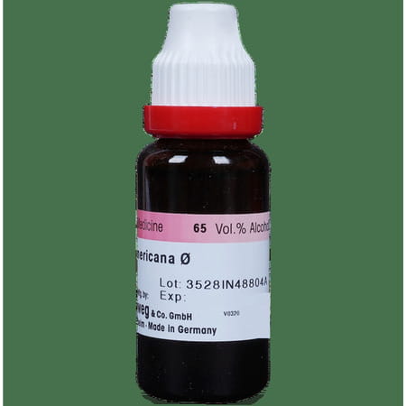 Dr. Reckeweg Fraxinus Amer Mother Tincture Q 20 Ml