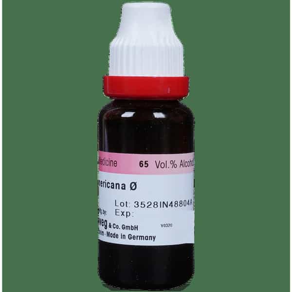 Dr. Reckeweg Fraxinus Amer Mother Tincture Q 20 Ml