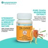 Swayamacare Fin-Chaga - The Immunity Booster - 60 Caps