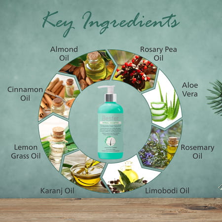 Bester Herbal Shampoo 300 Ml | Reduces Hair Fall | Dandruff & Tangled Hair (Pack Of 3)