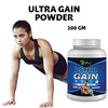 Riffway Ultra Gain Weight Gain Powder (2X200gm)