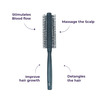 Sanfe Selfly Hair Brush(Round) Basic 1 Piece Scalp Massager Dandruff Removal Improve Hair Growth