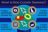 Pawcloud Dog Training Clicker With Wrist Strap Colour May Vary