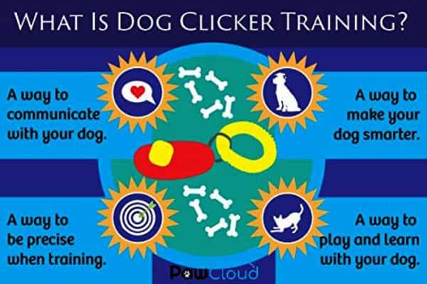 Pawcloud Dog Training Clicker With Wrist Strap Colour May Vary