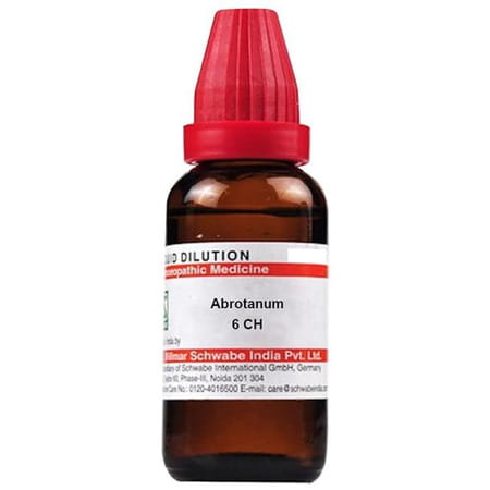 Dr. Willmar Schwabe India Abrotanum Dilution 6 Ch 30 Ml