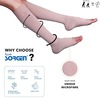 Sorgen Royale Soft Class Compression Stockings Knee Length (Large)