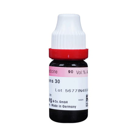 Dr. Reckeweg Ruta Graveolens 30 Ch (11ml)