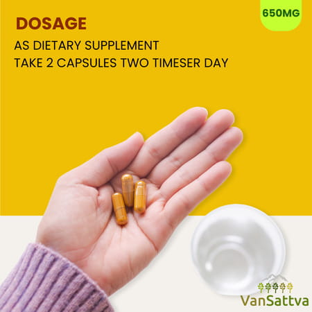 Vansattva Turmeric Capsule - 60n